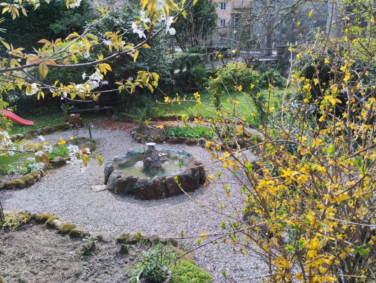 Il Glicine Di Villa Vittoria Nel Verde A Pochi Minuti Di Auto Dalle Spiagge Borgonovo Экстерьер фото